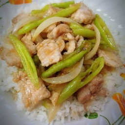 ผัดพริกอ่อนหมูชิ้น