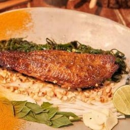 TumericFish Noodles(CHA CA)