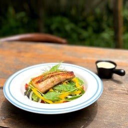 Salmon Steak Salad