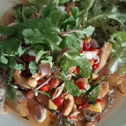 ยำสมุนไพร-เล็ก