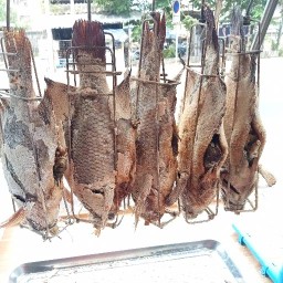 ร้าน ปาปา   ปลาอบโอ่ง สาขาแยกไฟแดงหมู่บ้านพุดตาน