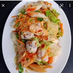 ไฮเบอร์เกอร์ ซ.102