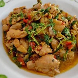 กระเพราไก่