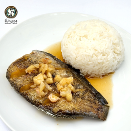 ข้าวปลาสลิดทอด ราดซอสกระเทียม (2-15)