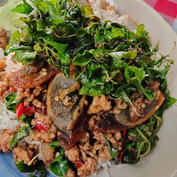 กระเพราไข่เยี่ยวม้ากับข้าว
