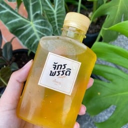 เก๊กฮวย (250ml)