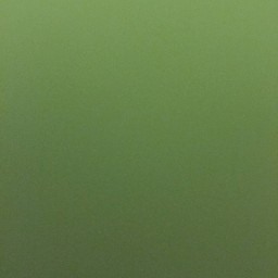 สปาเก็ตตี้ คาโบนาร่า