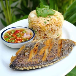 (อร่อยซ่ากับโค้ก) ข้าวผัดปลานิลทอด+โค้กถัง