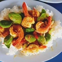 ผัดเผ็ดสะตอราดข้าว