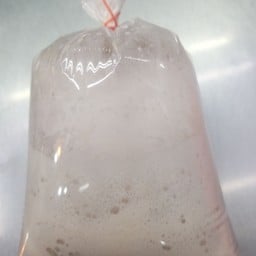 ไมโลนมสด