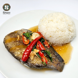 ข้าวปลาสลิดทอด ราดซอสกระเพรา (2-17)