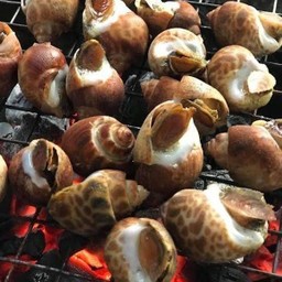 หอยหวานเผา 1 โล