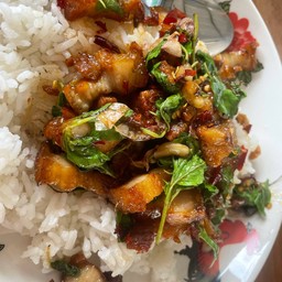 กระเพราหมูกรอบราดข้าว