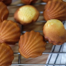 Lemon Madeleine (มาเดอลีน เลม่อน)