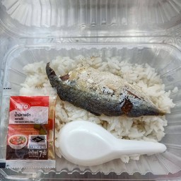 ข้าวกล่อง พร้อมทาน