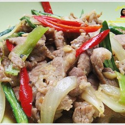 ผัดพริกสด (กับข้าว)