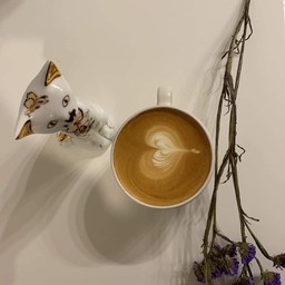 ลาเต้ร้อน