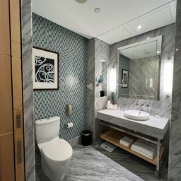 Premier Room