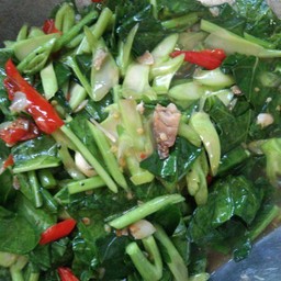 ผัดคะน้าปลาอินทรีย์