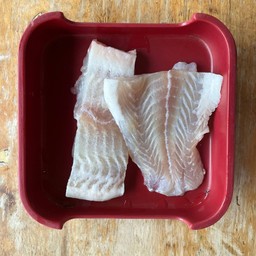 ปลาดอลลี่