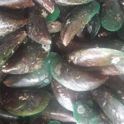 มันฝรั่งสดทอด เขย่าผง