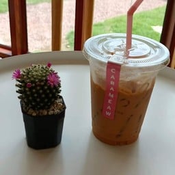 คาราแมว คาเฟ่ -