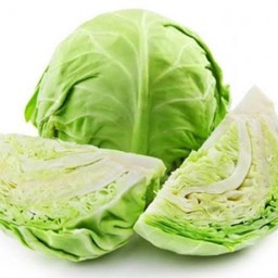 Cabbage