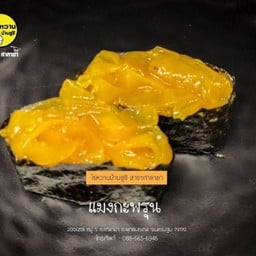 แมงกะพรุน