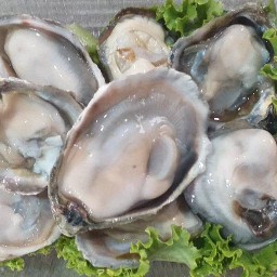 ส้มตำ ตามสั่ง