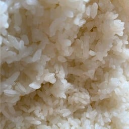 ข้าวญี่ปุ่น