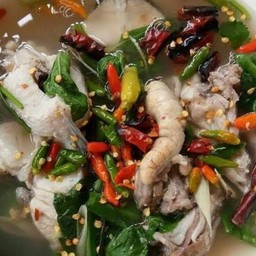 ต้มยำปลาช่อน