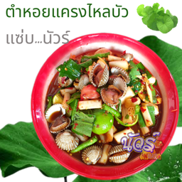 ตำหอยแครง ไหลบัว