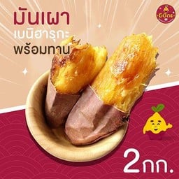 มันหวานญี่ปุ่นเบนิฮารุกะ เผาพร้อมทาน 2 kg