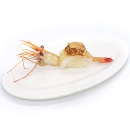 ALC-E017 Botan Top Foiegras Sushi