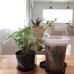 มอคค่าเย็น