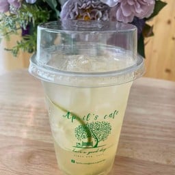 น้ำผึ้งมะนาวโซดา