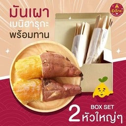 มันหวานญี่ปุ่นเบนิฮารุกะ เผาพร้อมทาน 2 หัวใหญ่ๆ