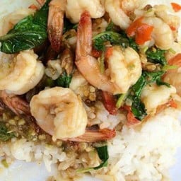 ผัดกะเพรากุ้งราดข้าว