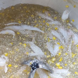 Sago Corn