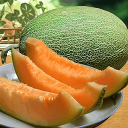 ฮามิเมลอน ปลอกพร้อมทาน