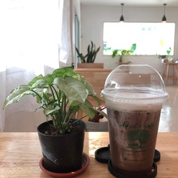 โ้กโก้ เฟรปเป้