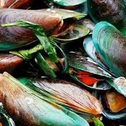 หอยแมลงภู่อบ