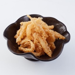 ALC-T008 Shirao Age