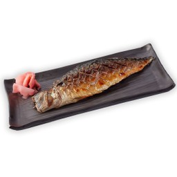 ALC-S007 Saba Teri Yaki