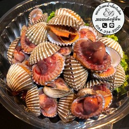 ร้าน หอยเด้งสู้ลิ้น (หอยแครง) รังสิต