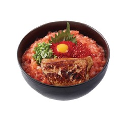 ALC-M007 Negi Salmon Foiegras Ikura Don