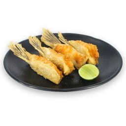ALC-T011 Salmon Fin Age
