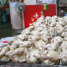 ไก่ไหว้เจ้า