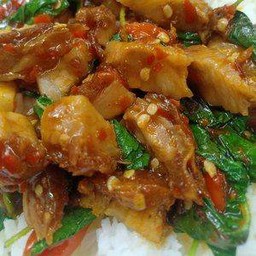 ข้าวกระเพราหมูกรอบ