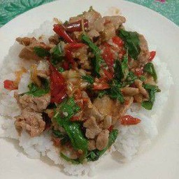 ข้าวกระเพราหมูชิ้น